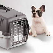 Stefanplast Gulliver 1 Delux Taşıma Çantası Gri 55x36x35Cm thumbnail 2