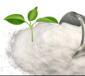 Micro Element Bitki Besini Suda Erir Çinko Gübre % 22 Zn Bitki Filiz Geliştirici 1 Kg thumbnail 3