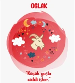 Meşgalem Kişiselleştirilebilir Hastane Çıkışı Burç Zıbın Setleri 12 Burç, 12 Tavır (OĞLAK) - 3