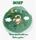 Meşgalem Kişiselleştirilebilir Hastane Çıkışı Burç Zıbın Setleri 12 Burç, 12 Tavır (AKREP) thumbnail 3