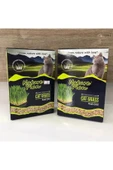 Nature Plan Oripet Kedi Çimi 500 Ml X 2 Adet - 1