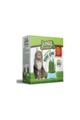 Jungle Kedi Çimi Kutulu (FİLELİ) - 1