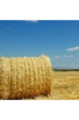 Canbay Doğal Ürünler Arpa Samanı - 4 Kg thumbnail 3
