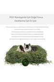 Canbay Doğal Ürünler DOĞAL KURU YONCA KEMİRGEN OTU-TAVŞAN-GİNEPİG-HAMSTER 2500 Gr - 3