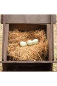 1kg Arpa Samanı - Kemirgen Otu - Kuş Otu - Folluk Otu - Sürüngen Otu - Yavrulama Altlığı - 3