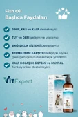 Vitexpert Kedi Ve Köpekler Için Premium Fish Oil 200 ml Omega 3 6 Içerikli Bağışıklık Destekleyici Balık Yağı - 5