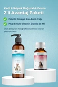 Vitexpert 2'li Bağışıklık Seti Balık Yağı + B Plus Damla Tüm Kediler İçin Bağışıklık Destekleyici Özel Paket - 2