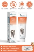 Vitexpert Multi Paste Tüm Kediler Için Multi Vitamin Bağışıklık Ve Tüy Sağlığı Destekleyici Malt Macun 100 Gr - 1
