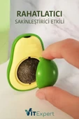 Vitexpert Doğal & Yenilebilir Kedi Nanesi Otu Avokado Kedi Çimi Özel Yapışkanlı 360° Dönen Catnip Yalama Topu - 4