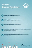 Vitexpert Kedi Ve Köpekler Için Premium Fish Oil 200 ml Omega 3 6 Içerikli Bağışıklık Destekleyici Balık Yağı - 4