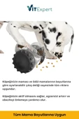 Vitexpert Yeni Nesil Köpek İnteraktif Mama Dağıtıcı Oyun Topu Mama Saklamalı Otomatik Ödül Maması Atıcı Robot - 3