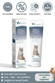 Vitexpert Anti Hairball Tüy Yumağı Önleyici Ve Sindirim Destekleyici Tüm Kediler Için Malt Paste Macun 100 gr - 1