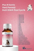 Vitexpert Plus B Hızlı Etkili Tüy Dökülmesi Önleyici Tüm Kediler Için Doğal Tüy Sağlığı Vitamin Damlası 50 ml - 6