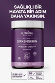 Nutriful İbni Sina Sirkengebin Prebiyotik-Probiyotik Diyet Macunu 2 li Fırsat Paketi - 240 Gr - 5