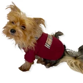 Bb Limited Bordo Kapşonlu Köpek Sweatshirt - 7