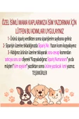 RealWood Çok Amaçlı Kedi Evi - Özel Isim Baskılı - Ahşap Mdf - Siyah Seramik Kase 2*400 - Tırmalama Çubuklu - 2