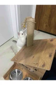 RealWood Özel Isimli, Ahşap, Çelik Kaseli, Tırmalama Çubuklu Açık-kapalı Kedi Ve Köpek Evi 4 In 1 - 5