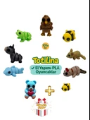 10'lu set (hindi arı fare su samuru ayı köpek balığı eşek kurbağa…) - 1