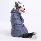 Pawstar Gri Colombia Orta Ve Büyük Irk Köpek Yağmurluğu Köpek Kıyafeti Köpek Elbisesi thumbnail 6
