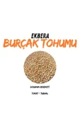 EKBERA Burçak (Müdürmük) Tohumu 1 Kg | Ekimlik – Yemlik – Diyet Dostu – Çok Amaçlı - 2
