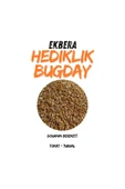 EKBERA Hediklik Buğday (Diş Buğdayı) - 1 Kg, Doğal ve Sağlıklı thumbnail 2