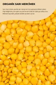 SARI MERCİMEK 2,5 KG - 2