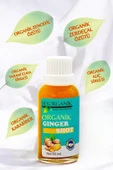 Ginger Shot (7ADETX30ML) thumbnail 3