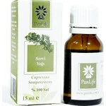 Panlife Servi Cupres Yağı 10 ml - 1