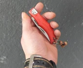 Fakıoğlu Kamp Çakısı Kapalı 10 cm Açık 20 cm - 2