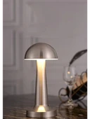 3 Işık Renkli Şarjlı Dim Edilebilir Metal Masa Lambası Silver B13 - 1