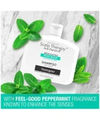 Neutrogena Scalp Therapy Anti-Dandruff İtchy Scalp Şampuan 354 ML thumbnail 2