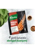 Knorr Mangal Harcı 37g X4 Adet thumbnail 4