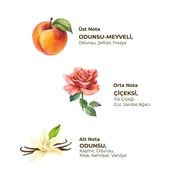 Eyüp Sabri Tuncer Kadın Roll On Deodorant 75 ml Soft - 2