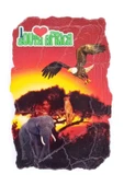 Güney Afrika Temalı Fresco Magnet thumbnail 3