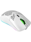 Valkyrie Kablosuz Petek Tasarım Şarjlı Gaming Mouse – RGB Aydınlatmalı 3200 DPI Ultra Hafif Beyaz - 7