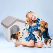 Imac Zeus 50 Evcil Hayvan Evi Bej/beyaz 53x46x47,6cm thumbnail 2