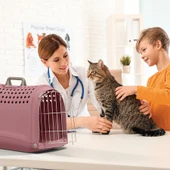 Imac Lınus 2nd Lıfe Evcil Hayvan Taşıma Çantası Yeşil 52,5x32x34,5cm thumbnail 2