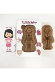Moon Beavers Vücudumuz Sistemleri Kız Ahşap Eğitici Oyun - 3