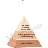 171 + No: 528 Kadın / Erkek Parfüm EDP 50 ml Floral / Fresh thumbnail 2