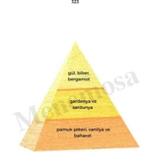 No: 528 + 323 Erkek / Kadın Parfüm EDP 50 ml Fresh / Oriental thumbnail 3