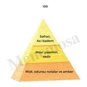 No: 199 + 150 Unisex / Kadın Parfüm EDP 50 ml Oriental / Woody thumbnail 2