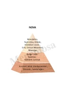 Nova Unisex Parfüm  Zenıth Edition 90 ml Floral - mnms90mlnova thumbnail 2