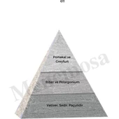 No: 528 + 611 Erkek Parfüm EDP 50 ml Fresh / Woody thumbnail 3