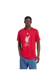 adidas Erkek  Kırmızı  T-shirt LFC DNA GR TEE JW7894 thumbnail 2