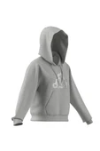 adidas Kadın  Gri  Sweatshirt W CO RUFF HD JX1326 thumbnail 10
