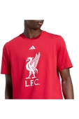adidas Erkek  Kırmızı  T-shirt LFC DNA GR TEE JW7894 thumbnail 6