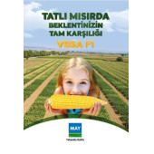 May Vega F1 Tatlı Mısır Tohumu 10000 Adet - 3