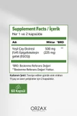 OCEAN Green Tea 500mg 60 Kapsül - Yeşil Çay 8697595872949 - 2