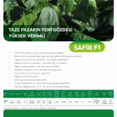 May Safir F1 Ispanak Tohumu 5 Kg - 5