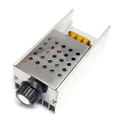 6000W Yüksek Güç Elektronik Voltaj Regülatör Modülü Hız Sıcaklık Kontrol Koruyuculu thumbnail 2